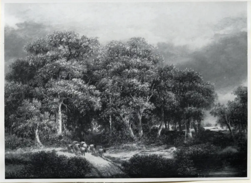 Anonimo , Stark, James - sec. XIX - A Wooded Landscape near Norwich , fronte