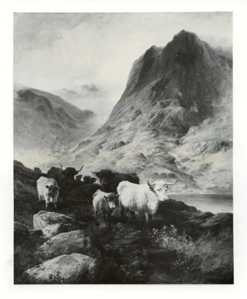 Anonimo, Anonimo , fronte