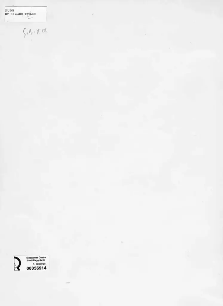 Anonimo , Taylor, Edward - sec. XIX - Nude , retro