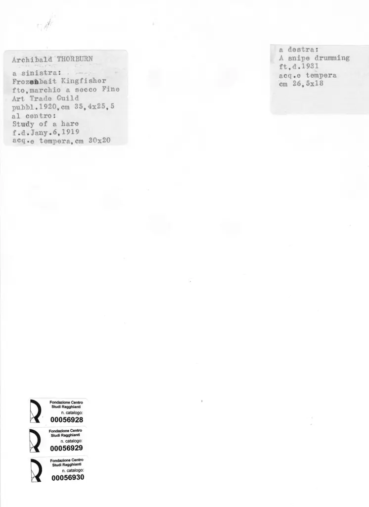 Anonimo , Thorburn, Archibald - sec. XX - A study , retro