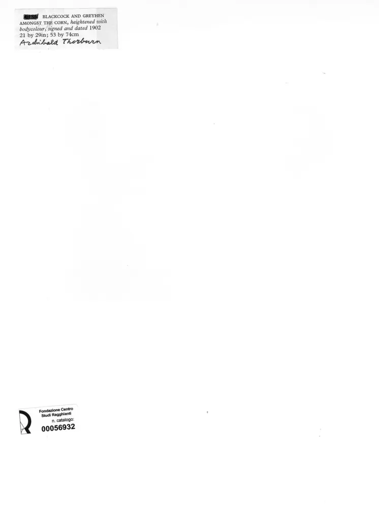 Anonimo , Thorburn, Archibald - sec. XX - Blackcock and Greyhrn amongst the corn , retro