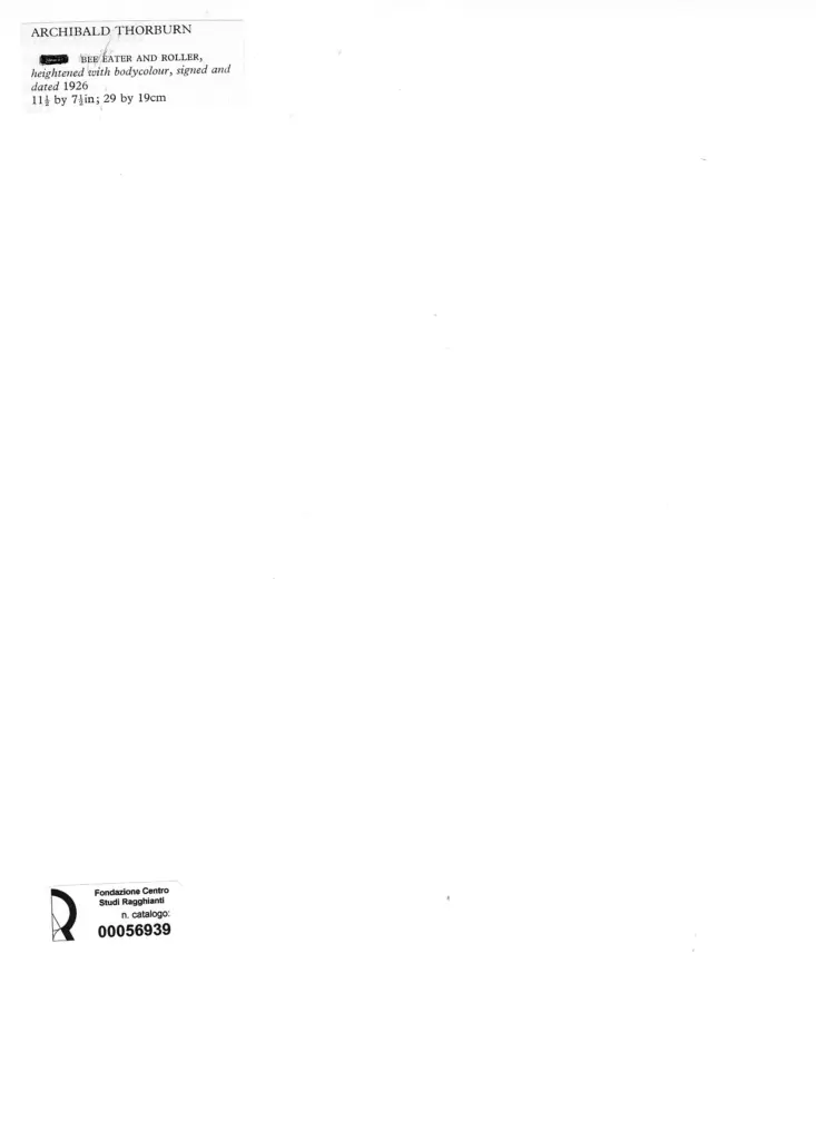 Anonimo , Thorburn, Archibald - sec. XX - Bee Eater and Roller , retro