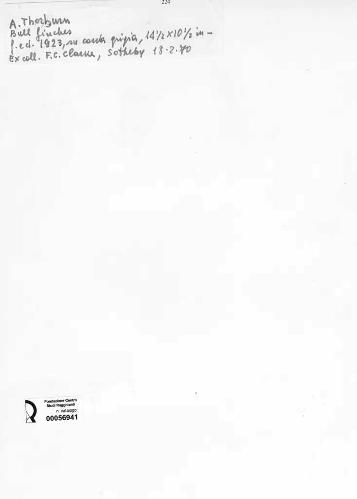 Anonimo , Thorburn, Archibald - sec. XX - Bull Finches , retro