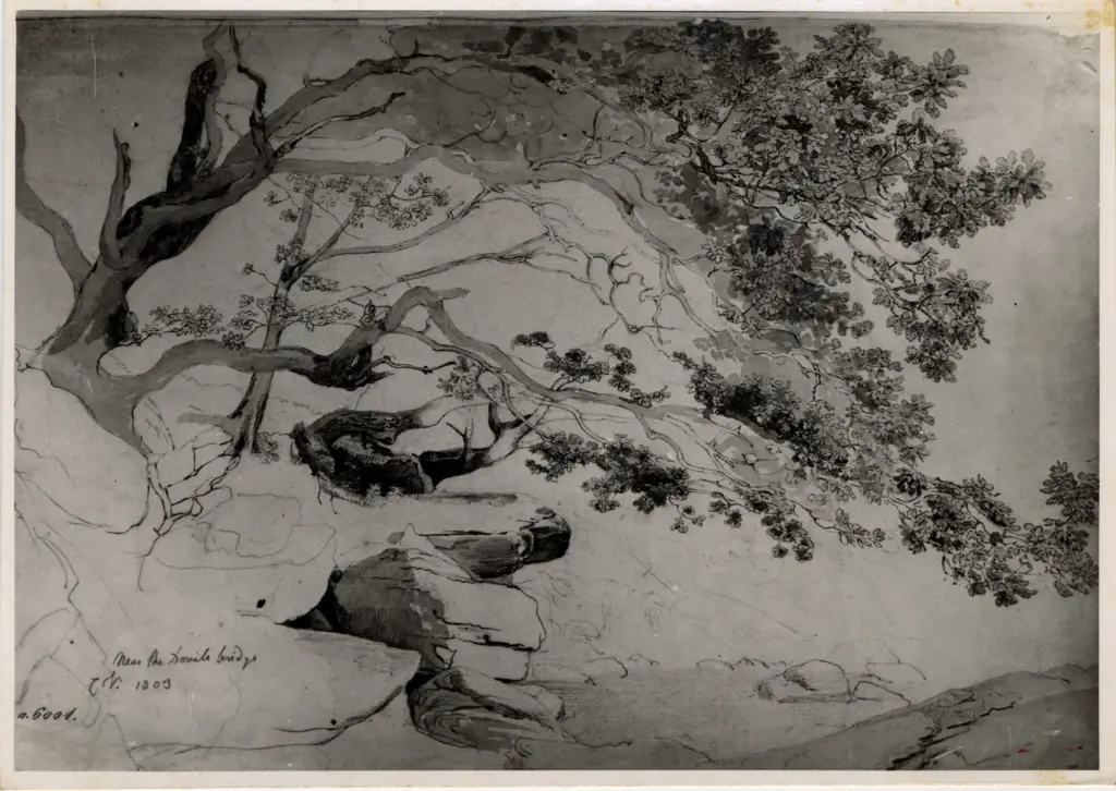 Anonimo , Varley, Cornelius - sec. XIX - Alberi per Il ponte del Diavolo , fronte