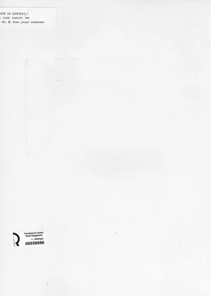 Anonimo , Varley, John - sec. XIX - View in Conway , retro