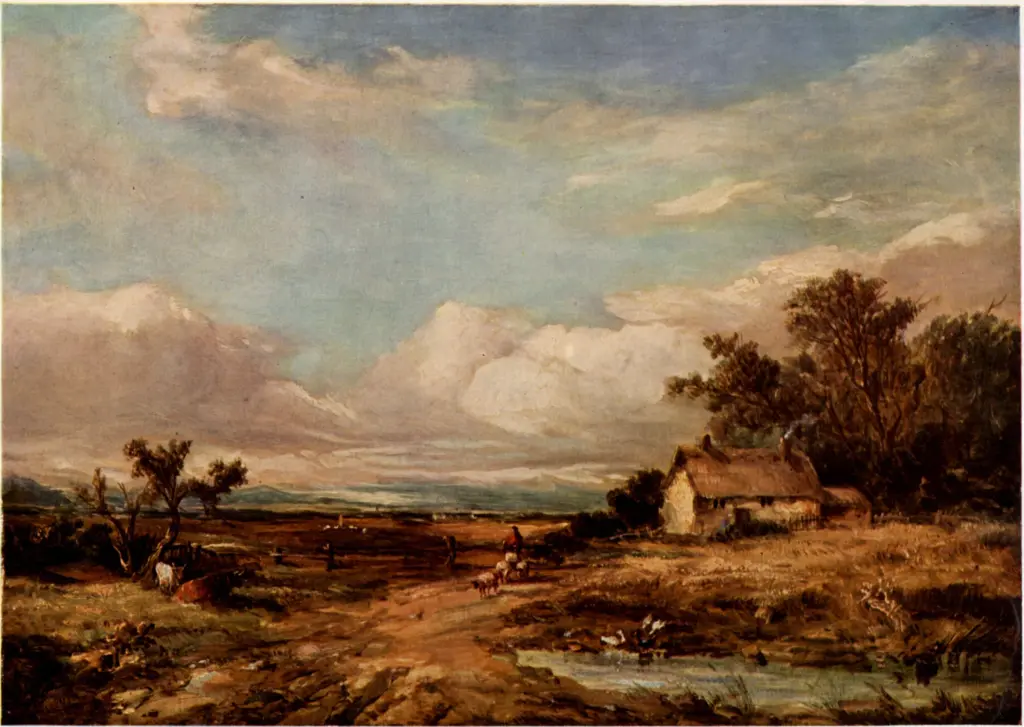 Anonimo , Vickers, Alfred - sec. XIX - Near Bognor , fronte