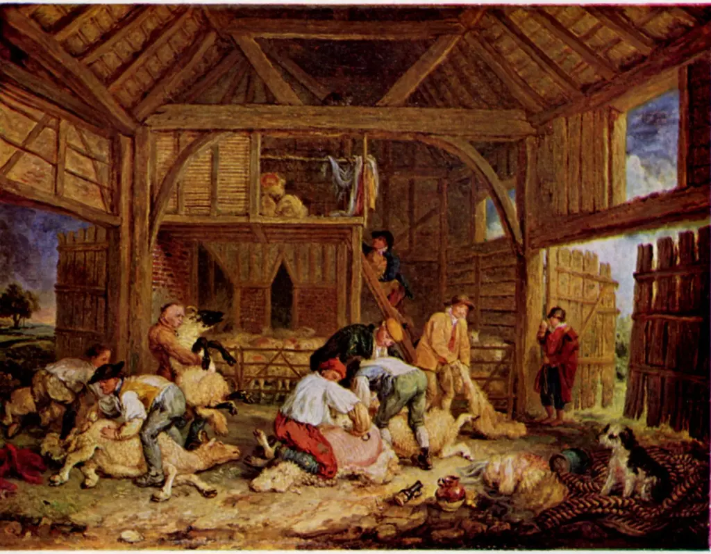 Anonimo , Ward, James - sec. XVIII/ XIX - Sheep Shearing , fronte