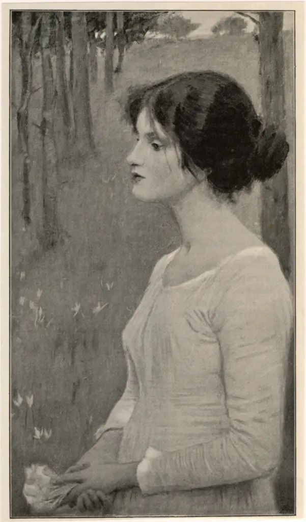 Anonimo , Waterhouse, John William - sec. XIX - Field Flowers , fronte