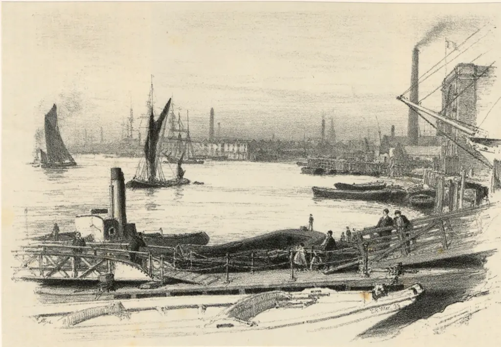 Anonimo , Way, Thomas Robert - sec. XIX - West India Dock , fronte