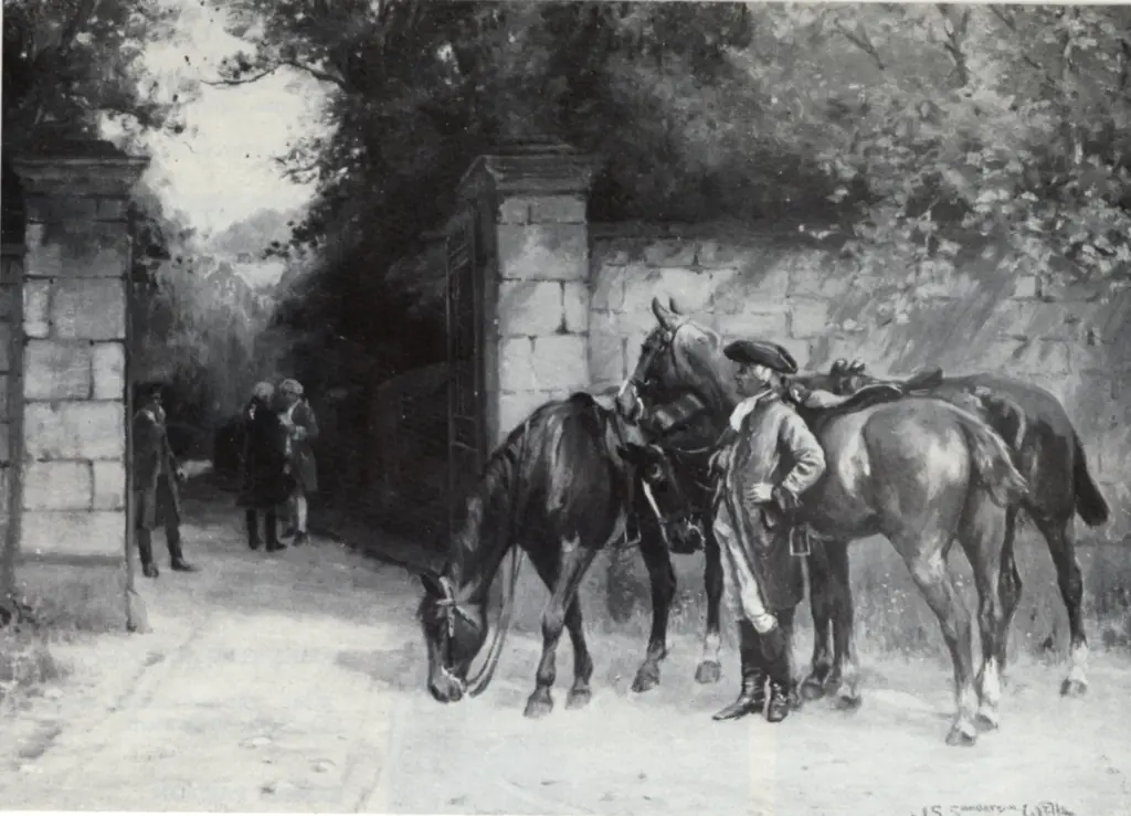 Wells Sanderson, John , The challenge