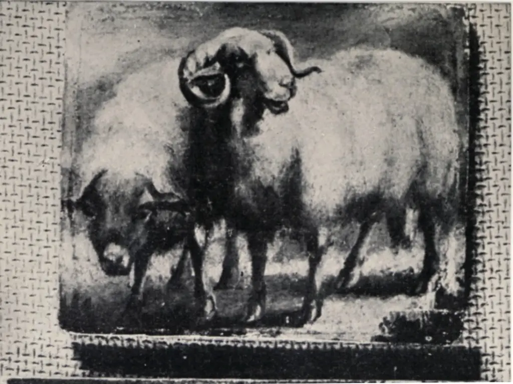 Wilkie, David , fronte