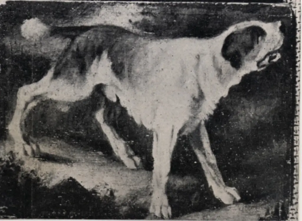 Anonimo , wilkie, David - sec. XIX - Il cane , fronte