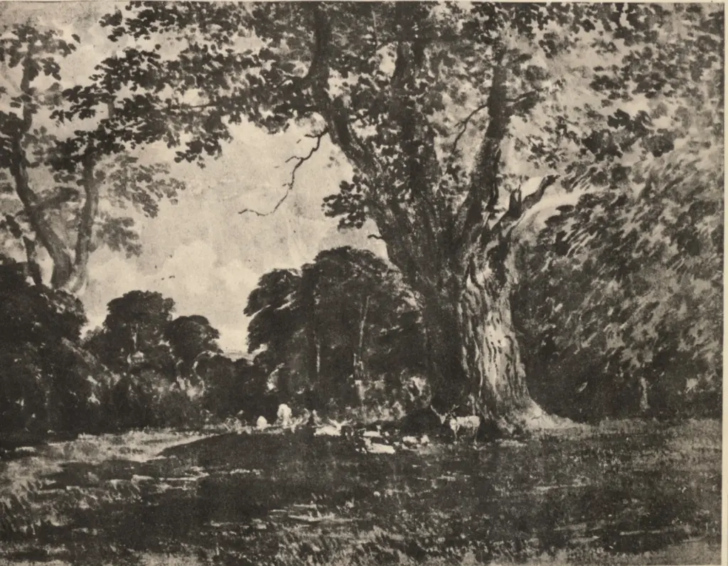 Woodman, Charles , fronte