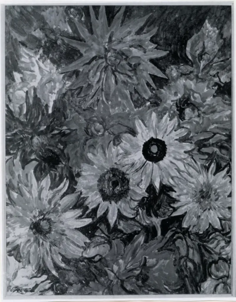 Anonimo, Anonimo , fronte