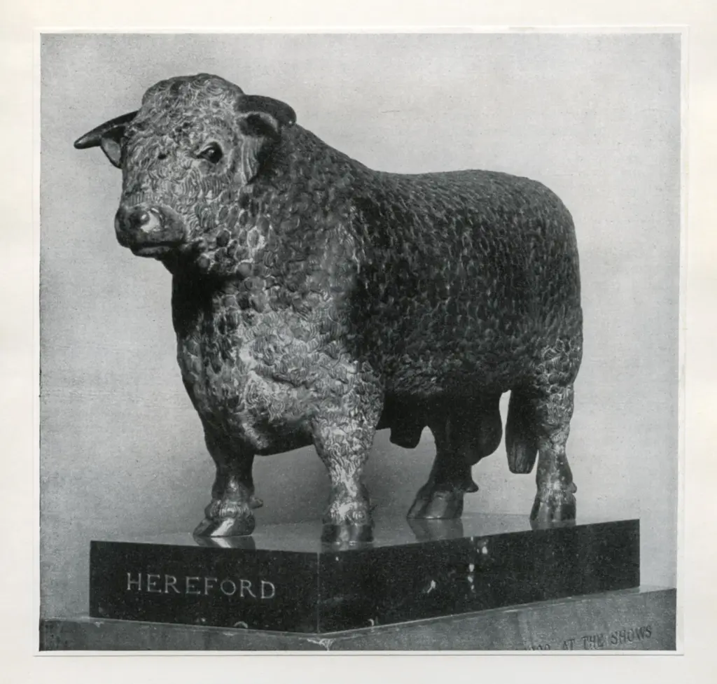 Anonimo , Haseltine, Herbert - sec. XIX - A Herefold Bull , fronte
