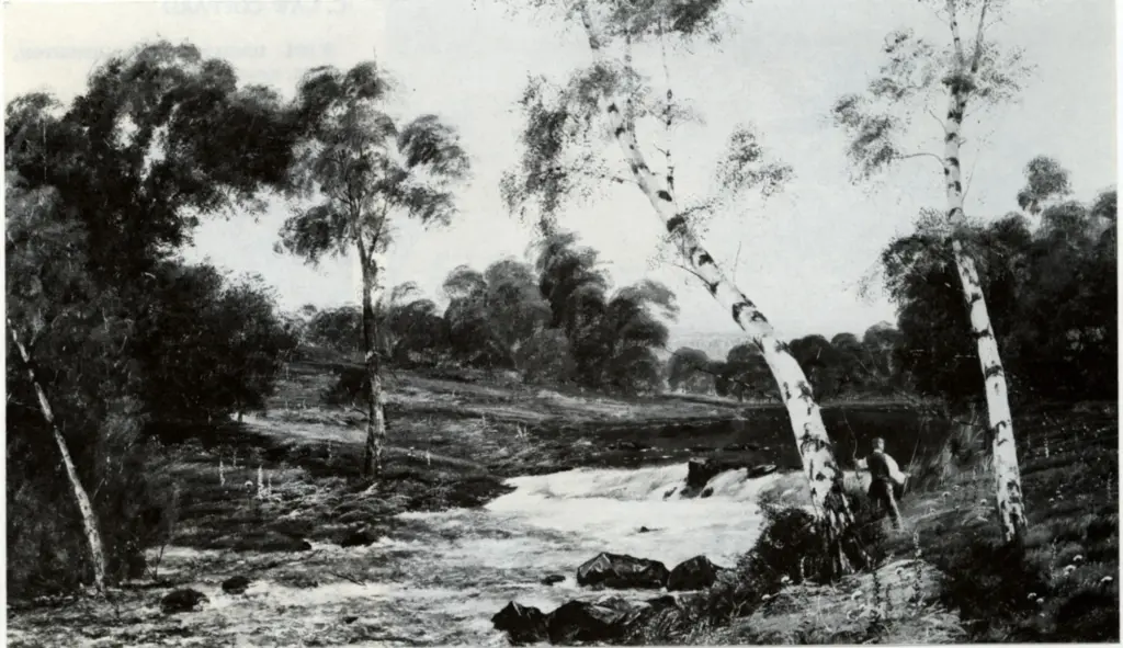 Anonimo, Anonimo , fronte