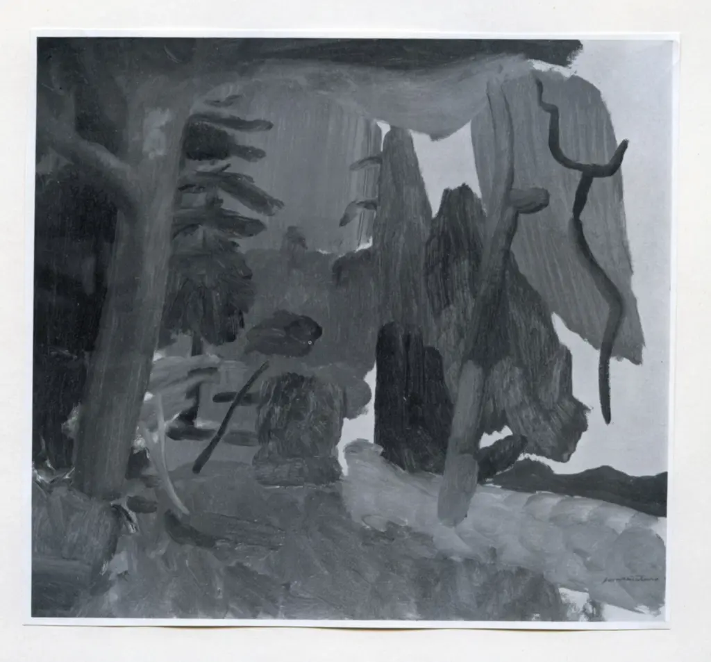 Anonimo, Anonimo , fronte