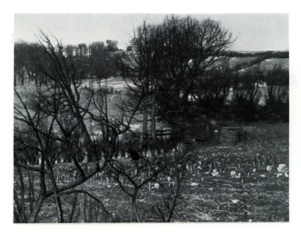 Anonimo , Houston, George - sec. XIX/ XX - The Allotment , fronte