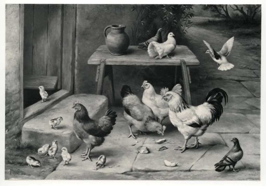 Anonimo , Hunt, Edgar - sec. XX - Farmyard Friends: Hens, Chicks and Fan - tailed at a Cottage Door , fronte
