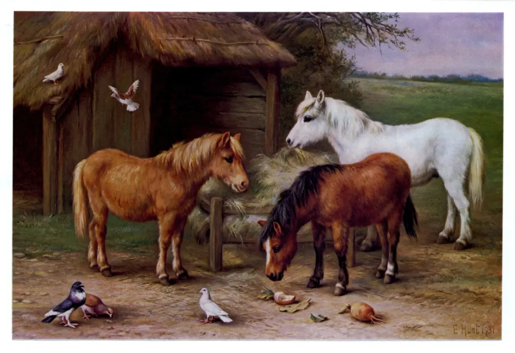 Anonimo , Hunt, Edgar - sec. XX - Feeding time , fronte