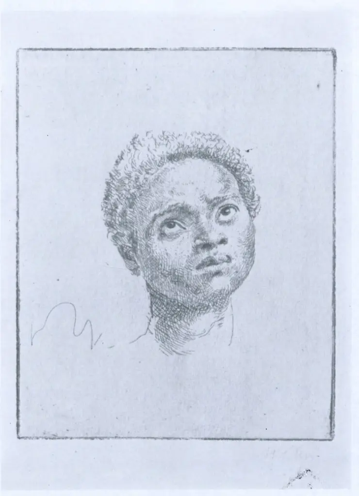 Anonimo, Anonimo , fronte