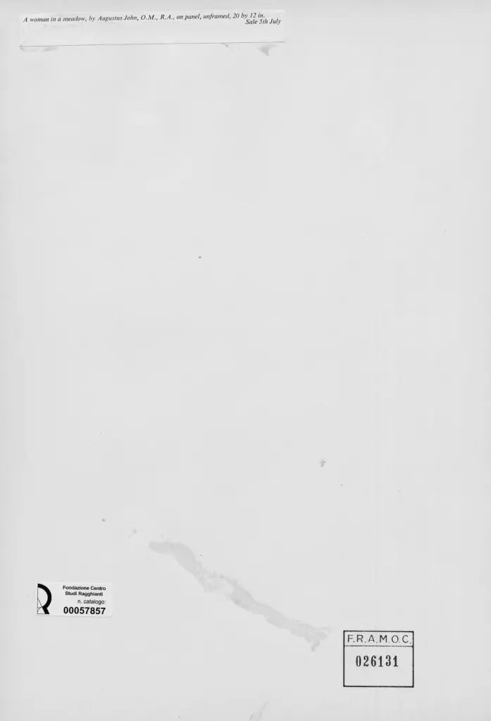 Anonimo, Anonimo , retro