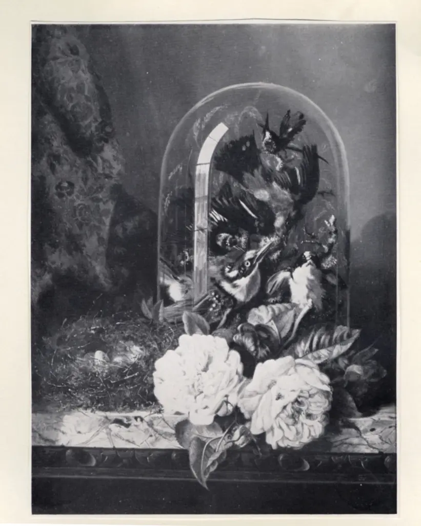 Anonimo , Ladell, Edward - sec. XIX - A still life of stuffed humming birds in a glass dome, with a bird's nest and old-fashioned roses on a marble-topped table , fronte