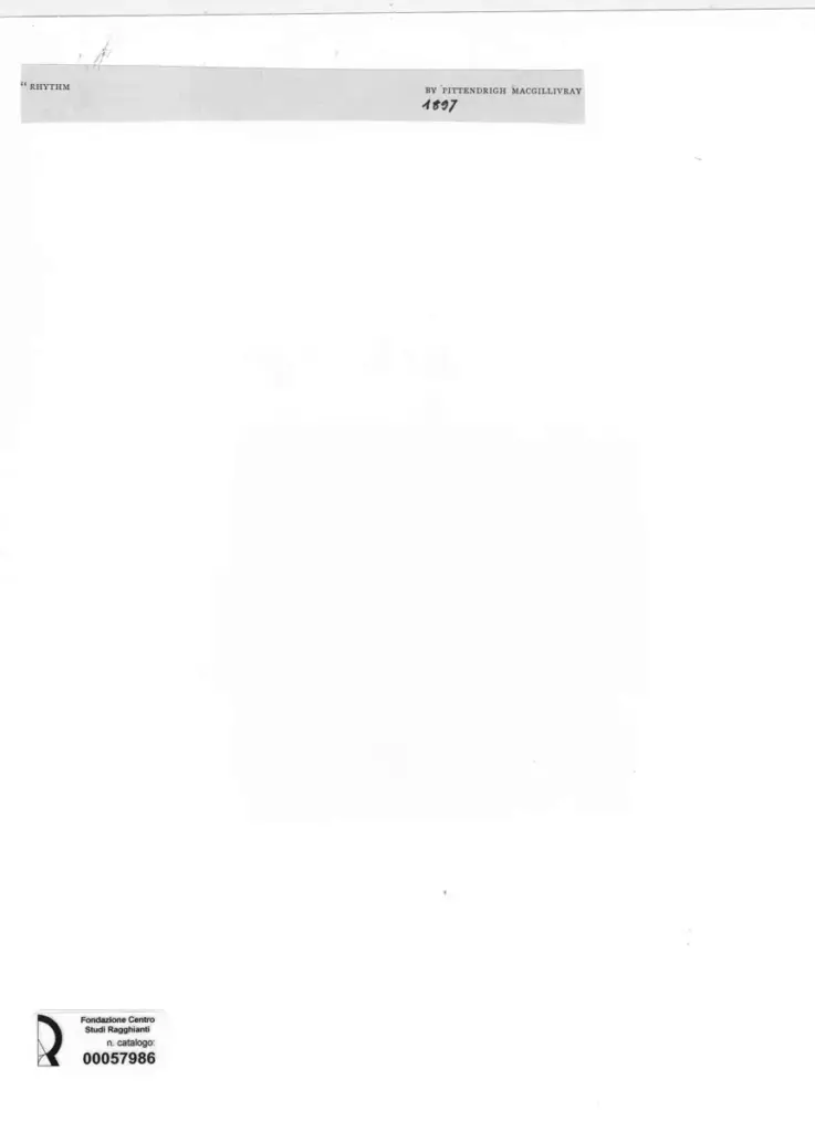 Anonimo , Macgillivray, Pittendright - sec. XIX - Rhythm , retro