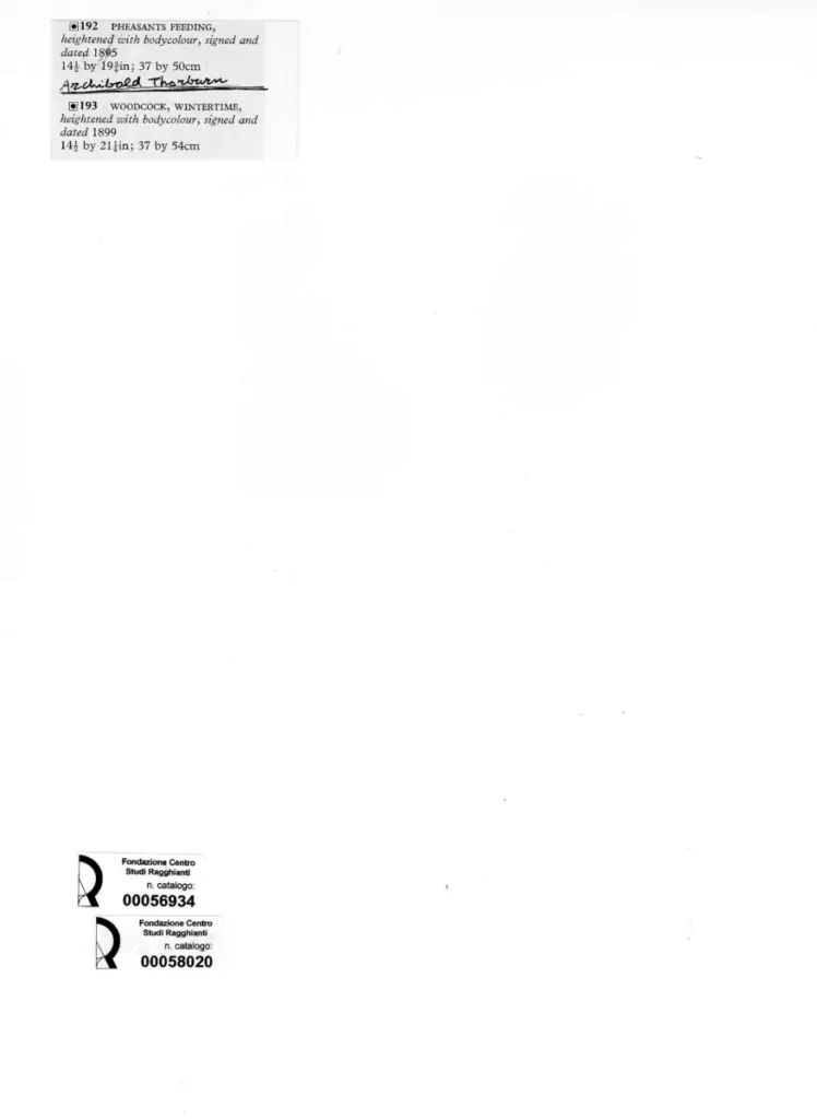 Anonimo , Thorburn, Archibald - sec. XIX - Woodcock, Wintertime , retro