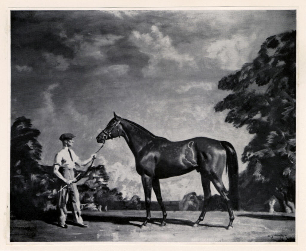 Anonimo , Munnings, Sir Alfred , fronte