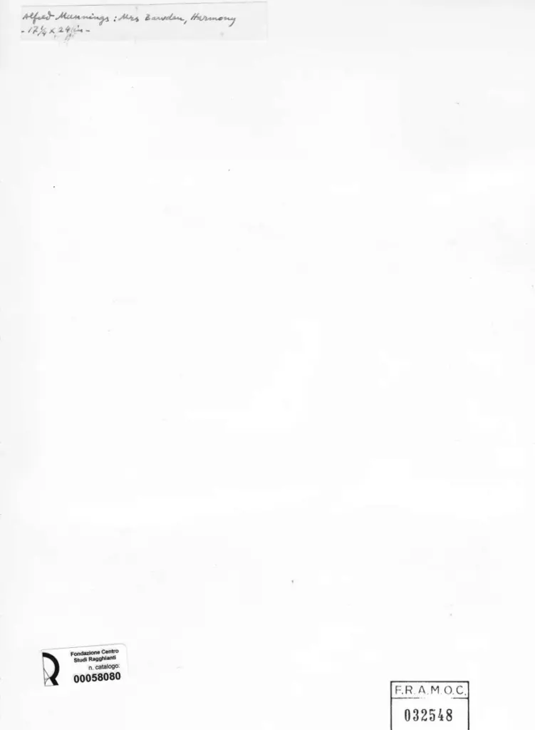 Anonimo, Anonimo , retro