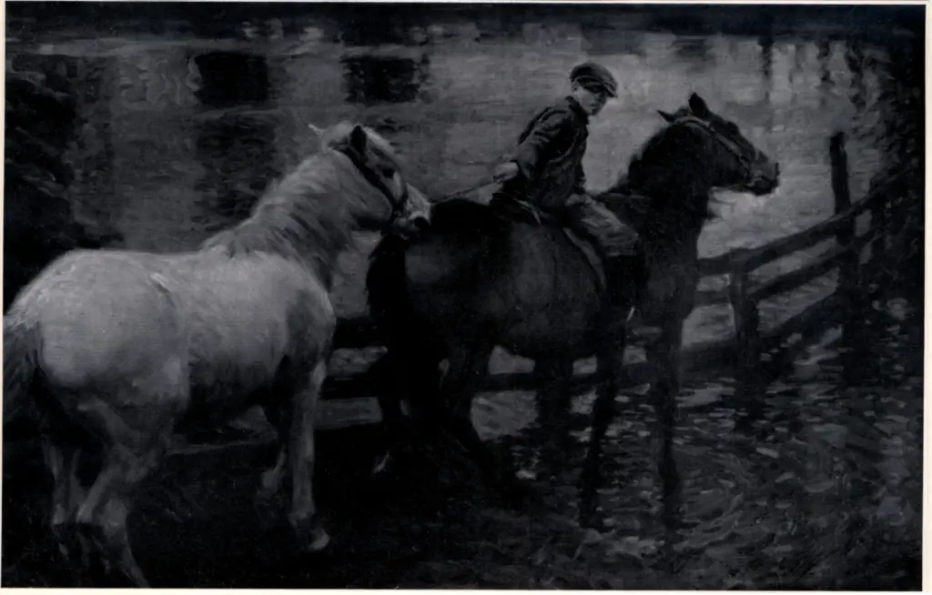 Anonimo, Anonimo , fronte