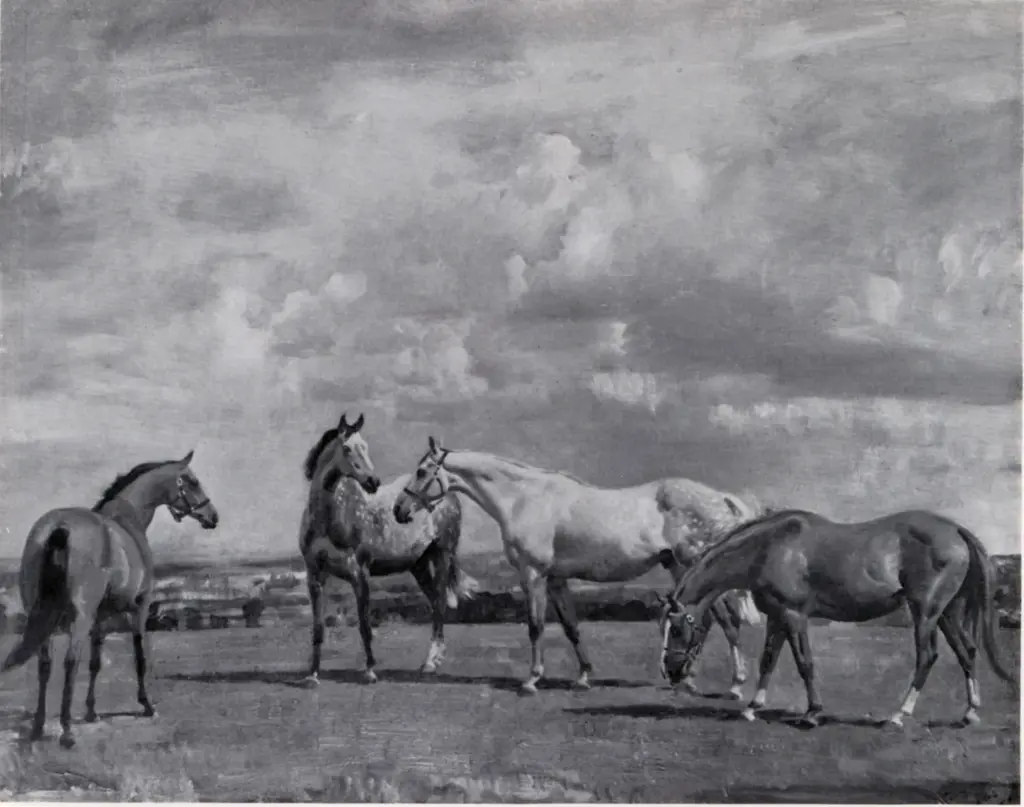 Anonimo , Munnings, Sir Alfred - sec. XX - Horses at Grass , fronte