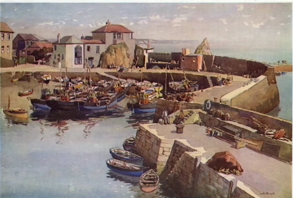 Anonimo, Anonimo , fronte