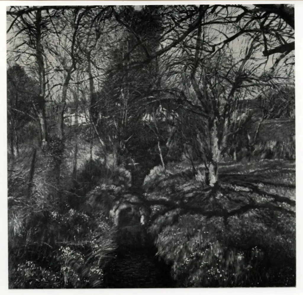 Anonimo , Sanders, David - sec. XX - Foresta , fronte