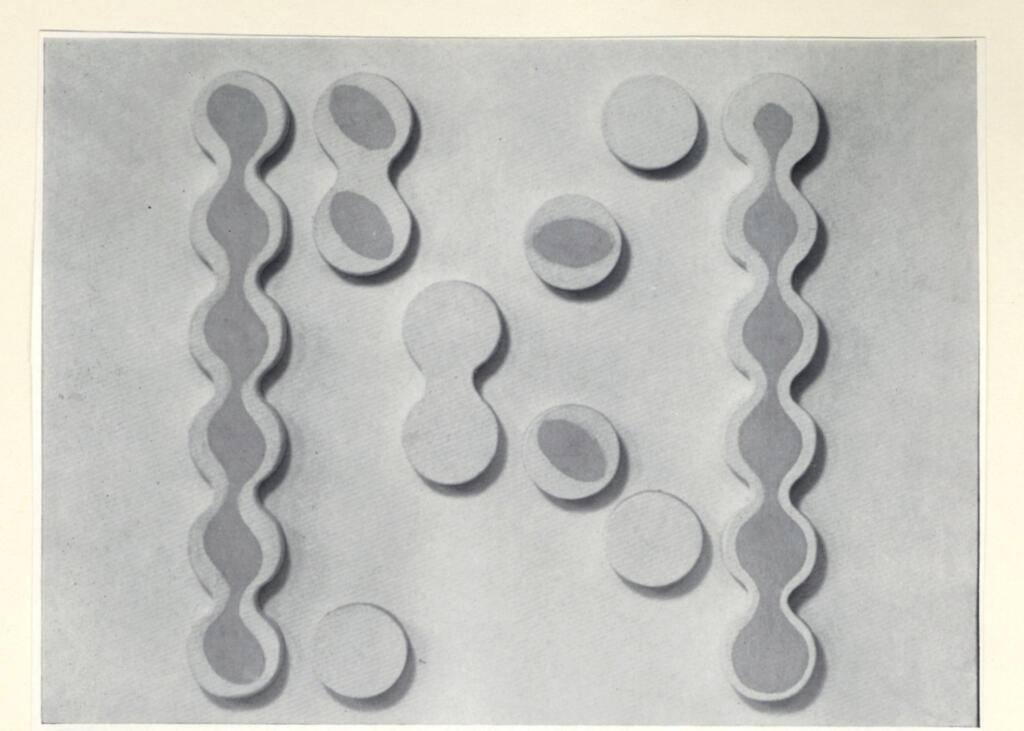 Tilson, Joe - sec. XX , fronte