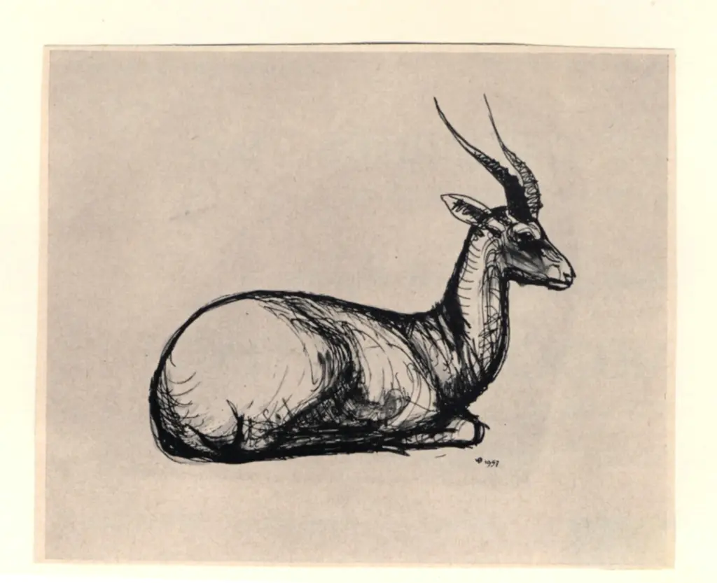 Anonimo , Winne, David - sec. XX - Daino , fronte