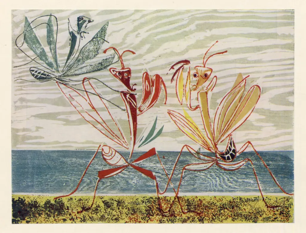 Anonimo, Anonimo , fronte