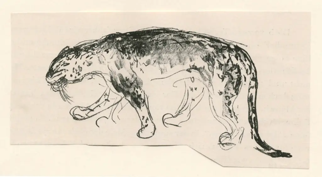 Anonimo, Anonimo , fronte