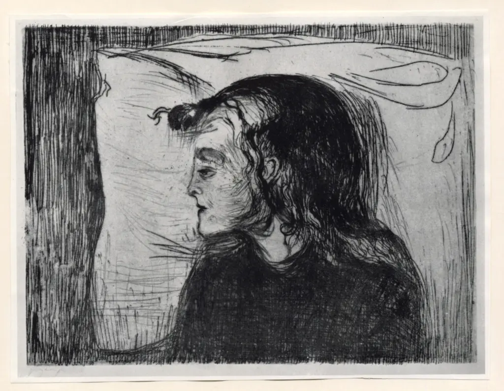 Anonimo, Anonimo , fronte