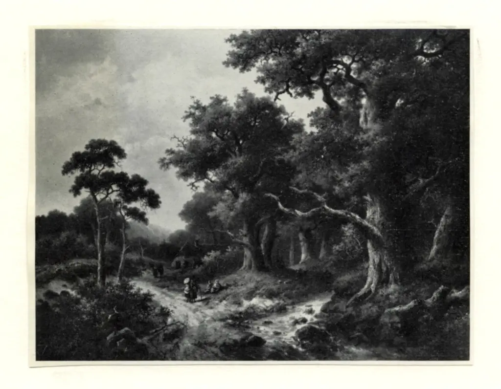 Anonimo , Koek Koek, H.B. - sec. XIX - A woodland scene , fronte