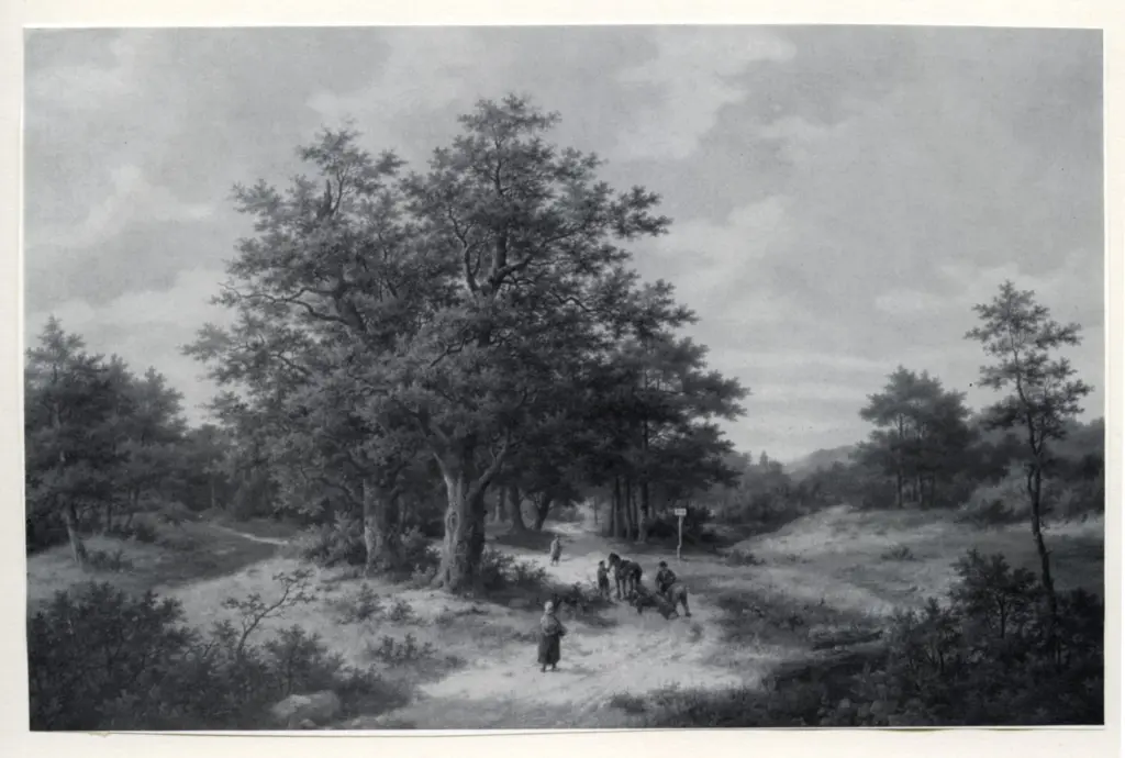 Anonimo , Koekkoek, Hermannus P. - sec. XIX - A wooded lanscape , fronte