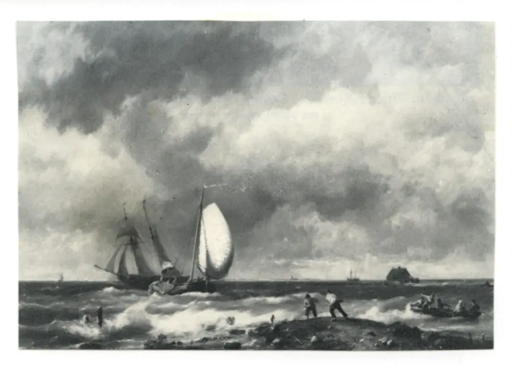 Anonimo, Anonimo , fronte