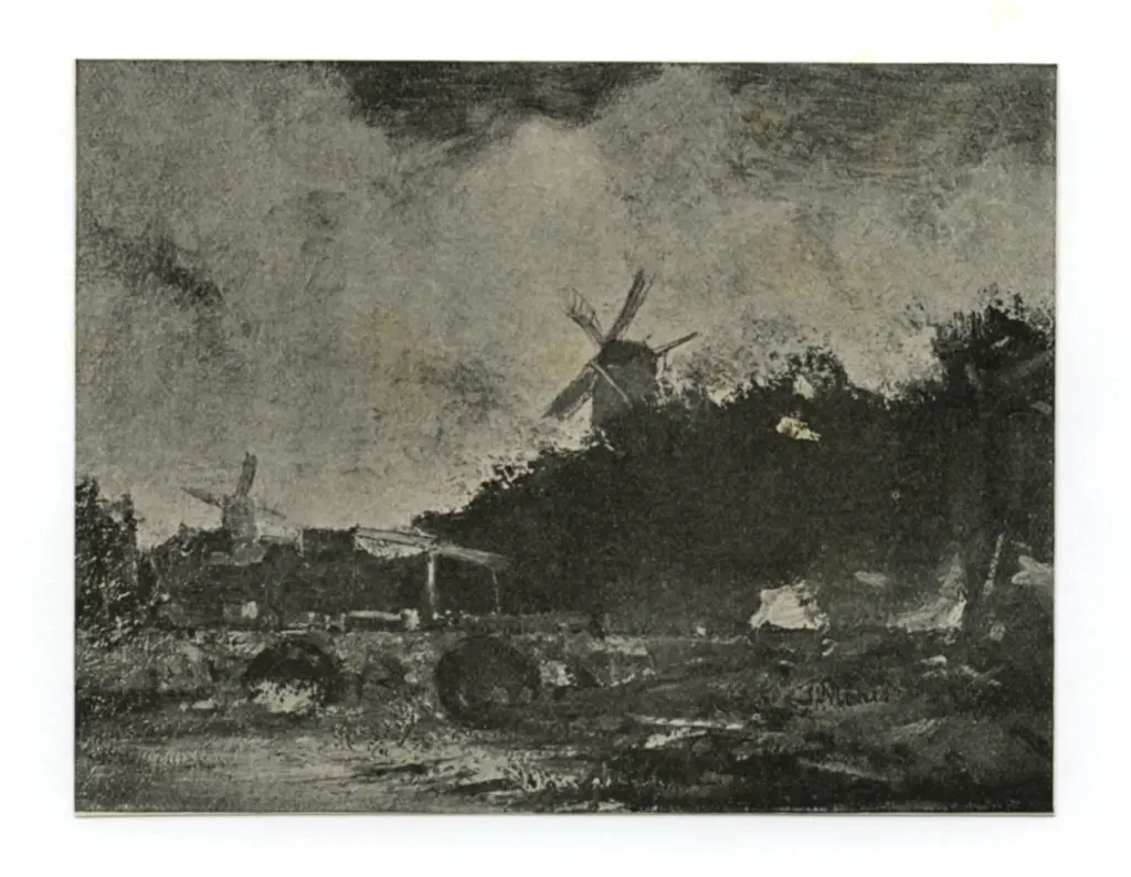 Anonimo, Anonimo , fronte