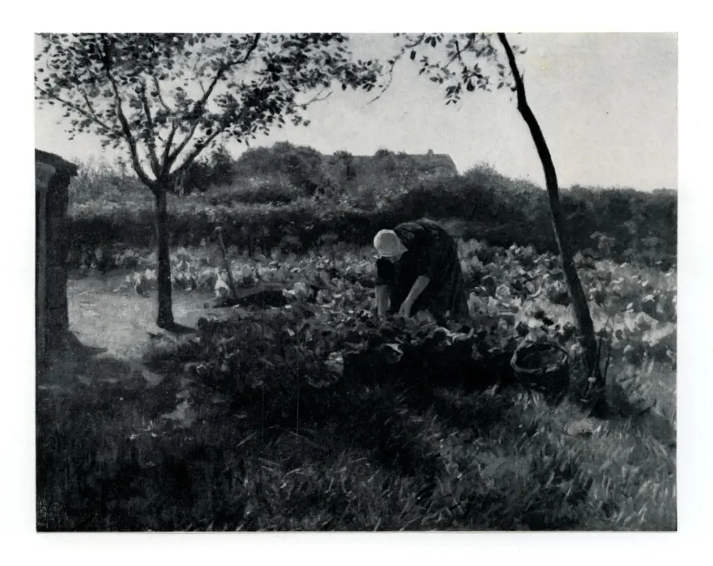 Anonimo , Mauve, Anton - sec. XIX - Cabbage Picking , fronte