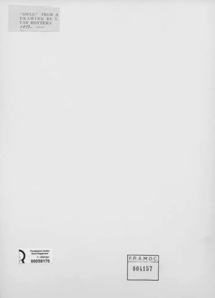 Anonimo , Van Hoytema, Theo - sec. XIX - Owls , retro