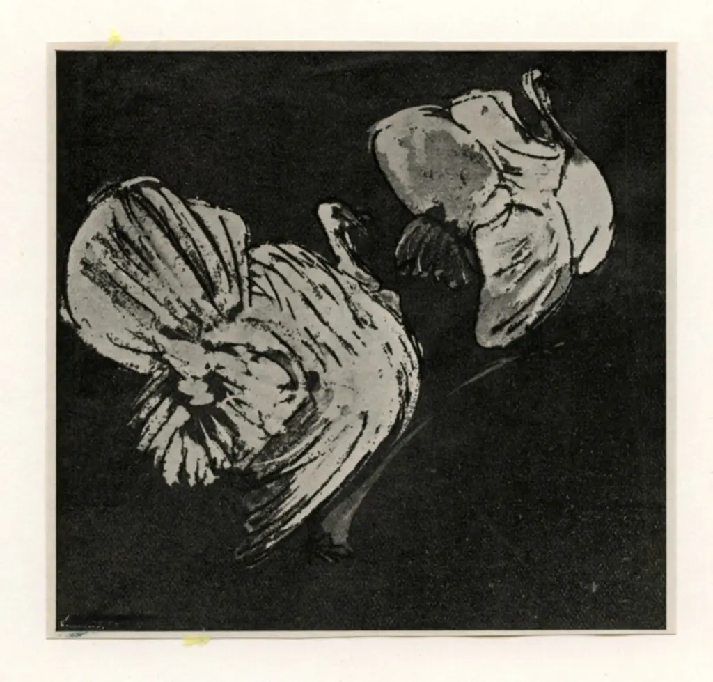 Anonimo , Van Hoytema, Theo - sec. XIX - Turkeys , fronte