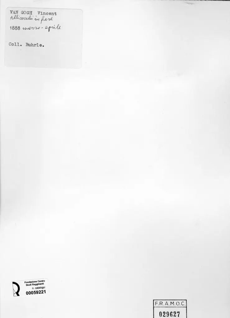 Anonimo , Van Gogh, Vincent - sec. XIX - Albicocchi in fiore , retro