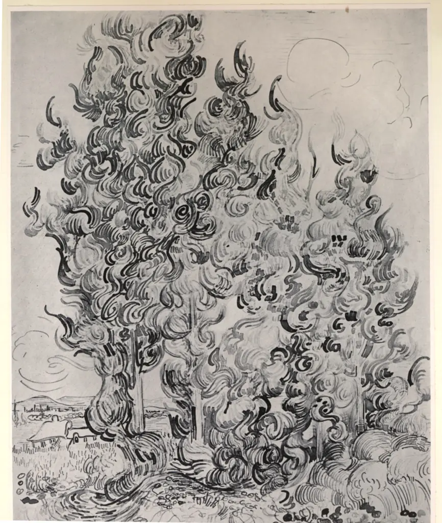 Anonimo , Van Gogh, Vincent - sec. XIX - Alberi , fronte