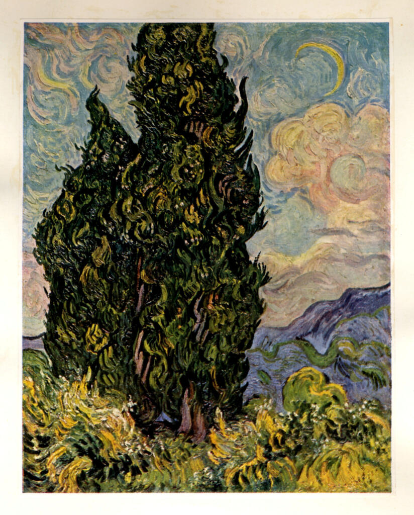 Anonimo , Van Gogh, Vincent - sec. XIX - Cypresses , fronte